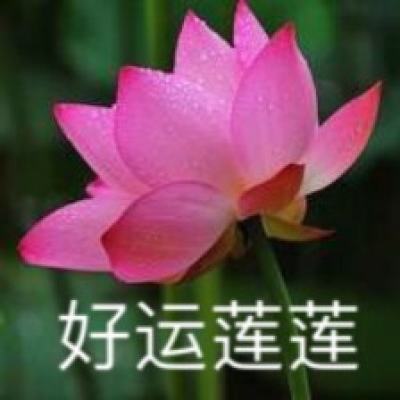 东方雨虹董事张颖增持3万股，增持金额44.1万元